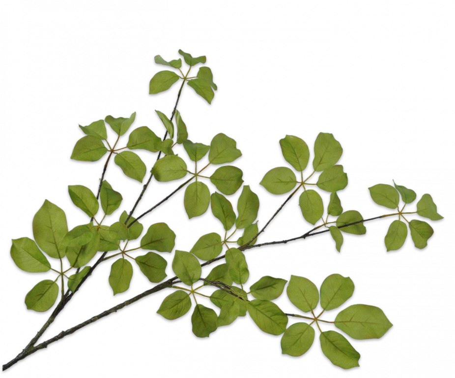 BLADTAK  GROEN 120 cm