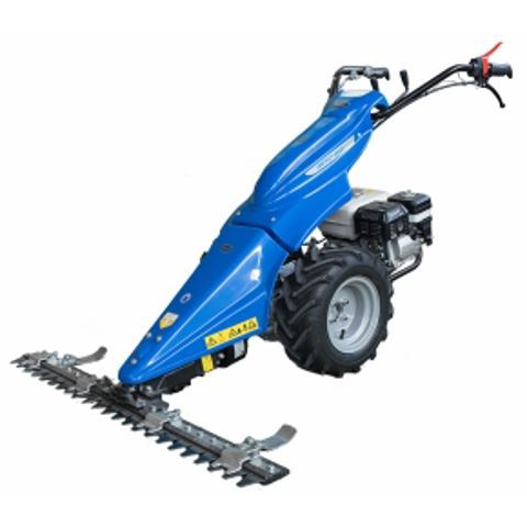 HALVE DAG - 2223 Sep Balkmaaier