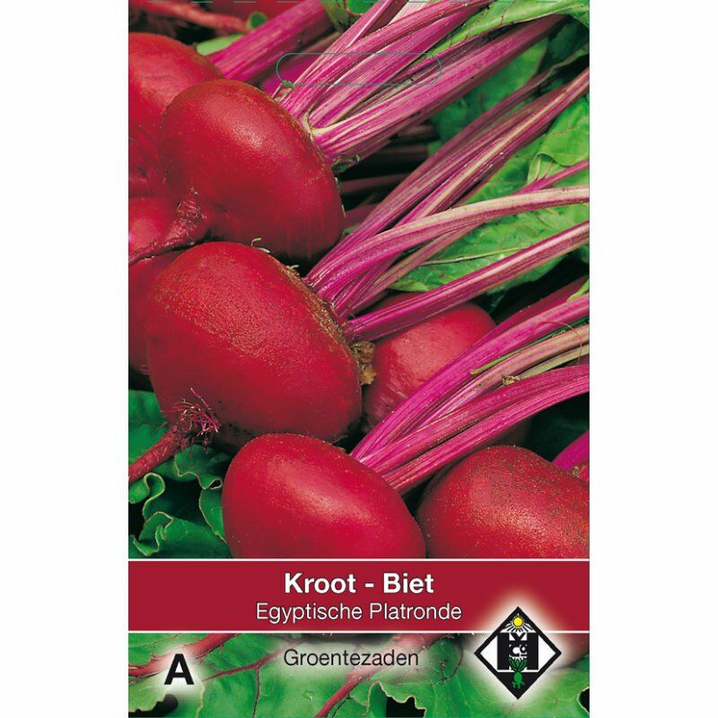 A- Biet - Kroot Egyptische Platronde