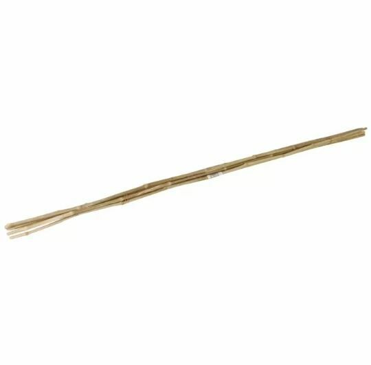 Bamboestok 150 cm naturel 4 stuks 