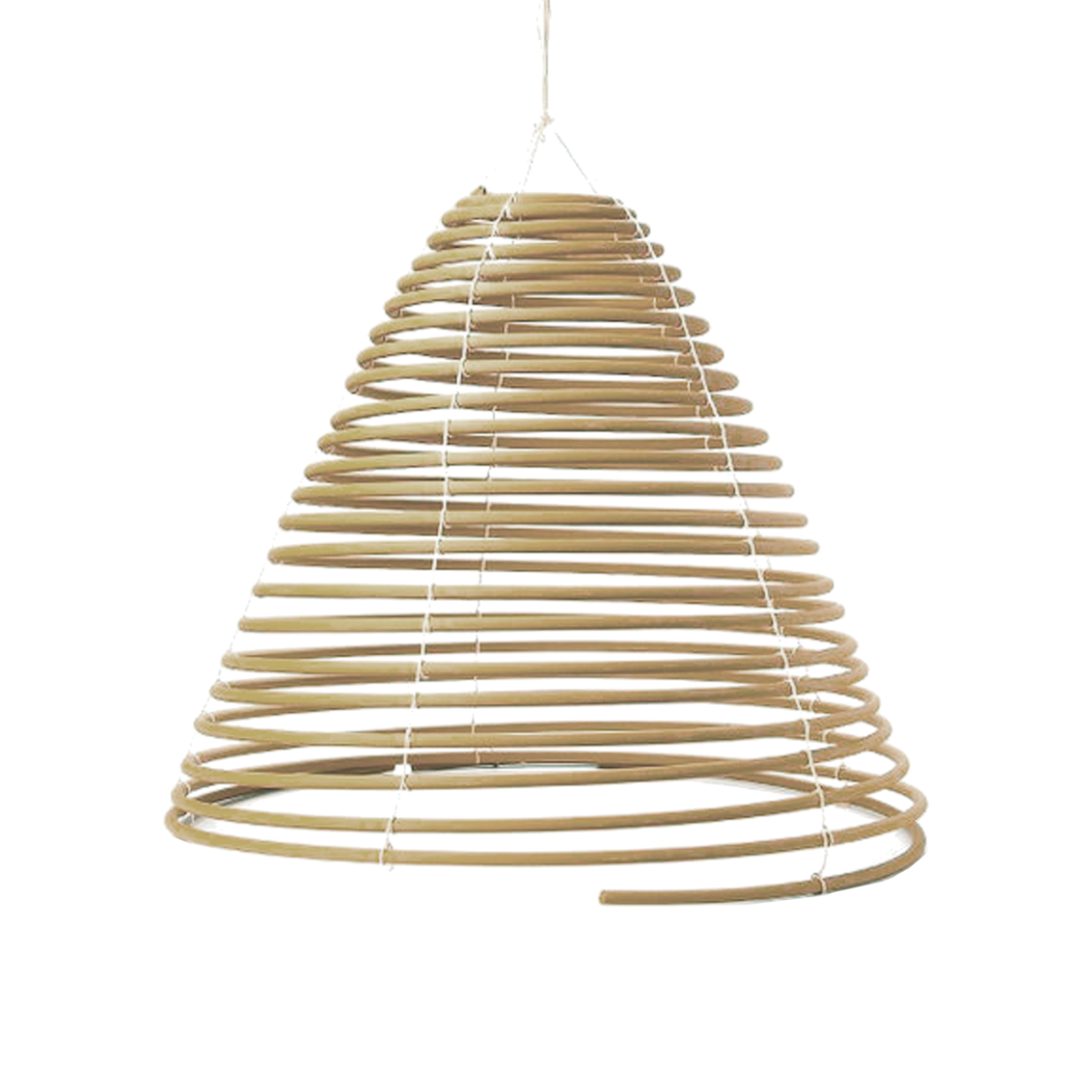 Citronella spiraal L