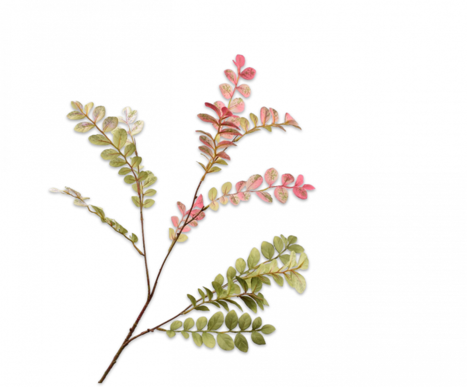 BLADTAK  GRN/ROZ 84 cm