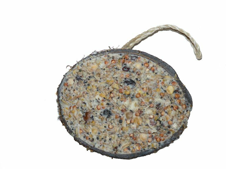 Cocosnoot + vet + zaden