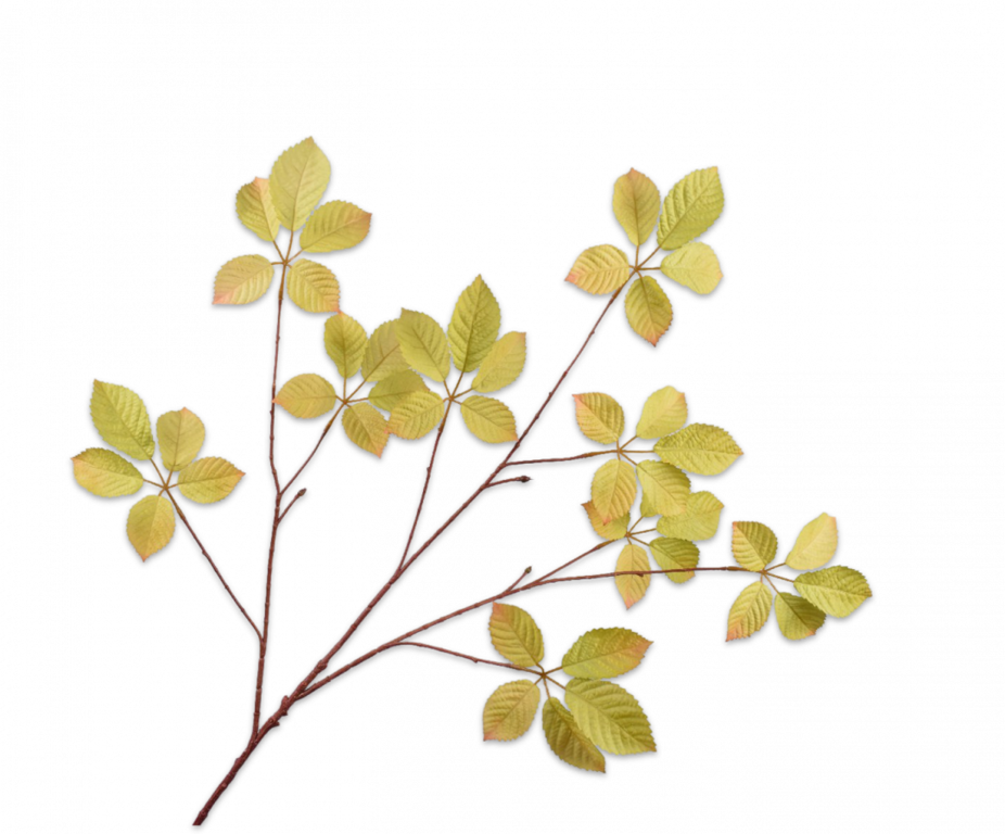 BLADTAK  GRN/BRN 103 cm