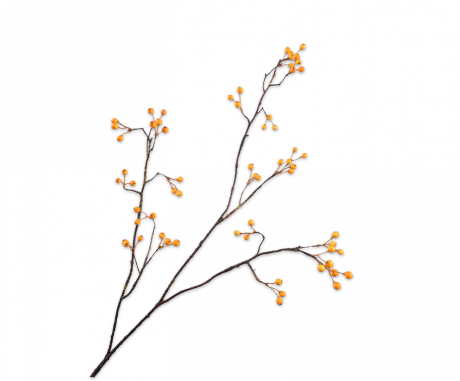 BESSENTAK  GEEL 94 cm