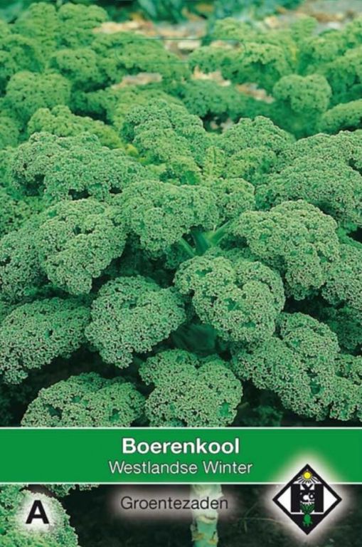 A- Boerenkool Westlandse Winter