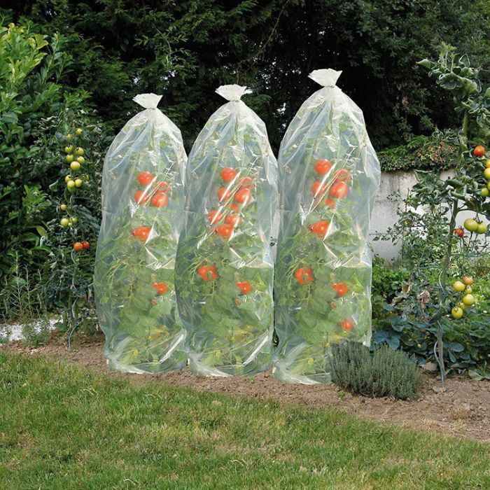 Tomatenhoes 15mx80cm. rond 50cm