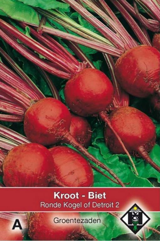 A- Biet - Kroot Kogel of Detroit 2