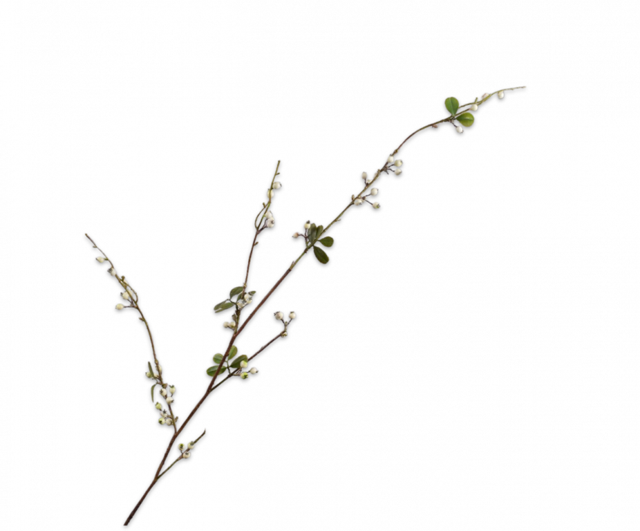 BESSENTAK WT/GRN 124 cm