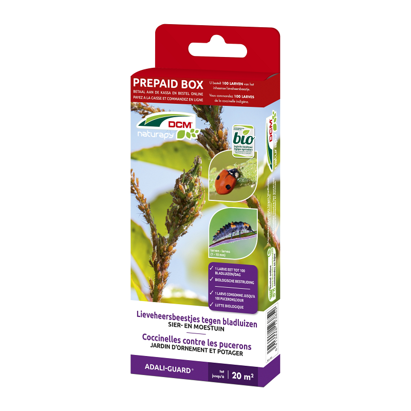 DCM Lieveheersbeestjes tegen bladluizen (Adali-Guard) 