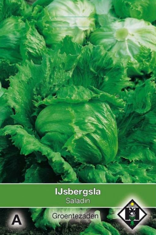 A- IJsbergsla Saladin