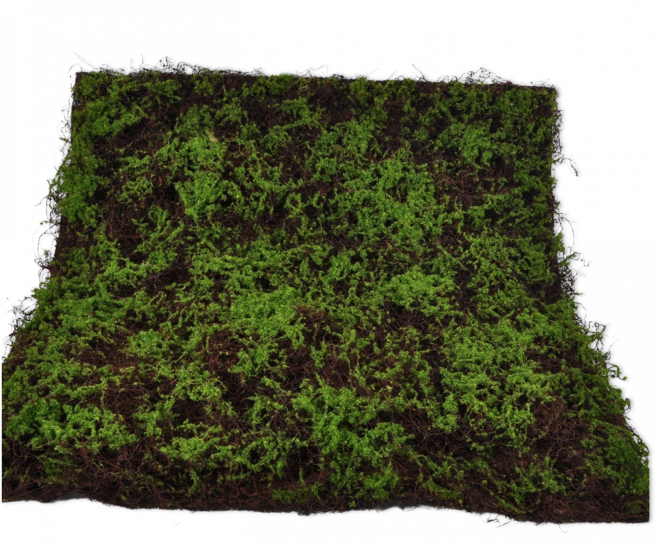 MOS PLAG GROEN 100 CM