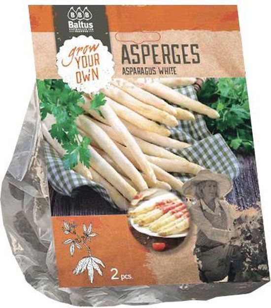 Asparagus Wit per 2