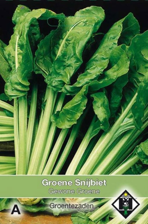 A- Snijbiet Gewone Groene