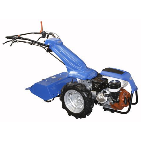 HALVE DAG - 2223 Sep Tuinfrees