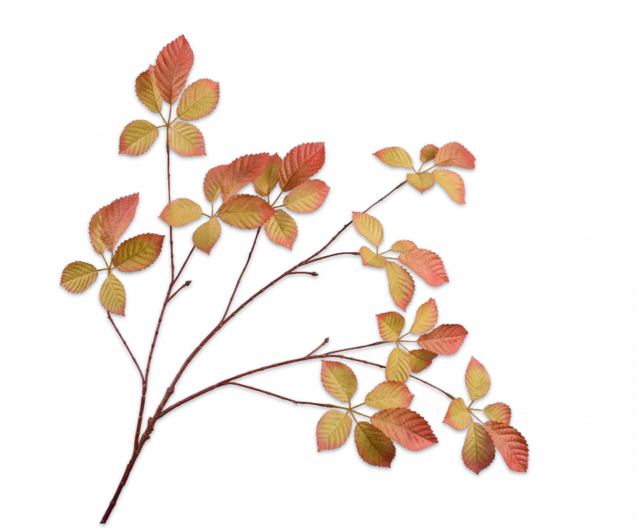 BLADTAK  GRN/BOR 103 cm