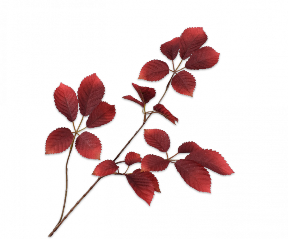 BLADTAK  BORDEAU 74 cm