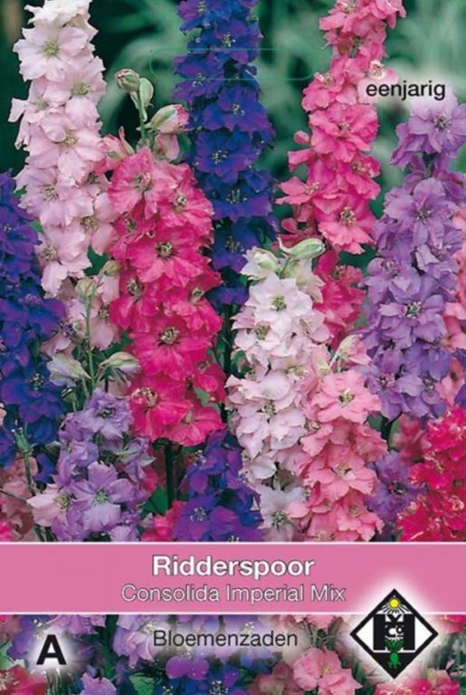 A- Consolida ajacis Imperial Mix