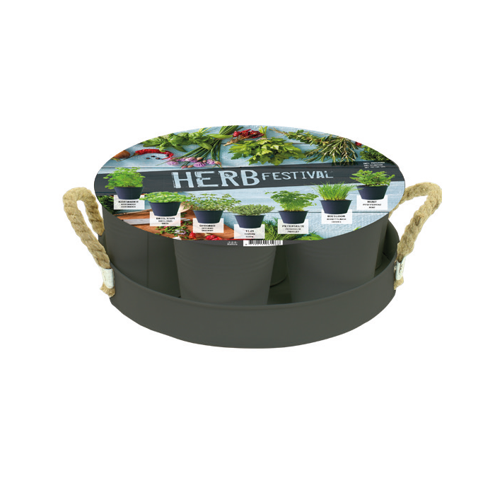 Herb Festival - 7 (Grijs)