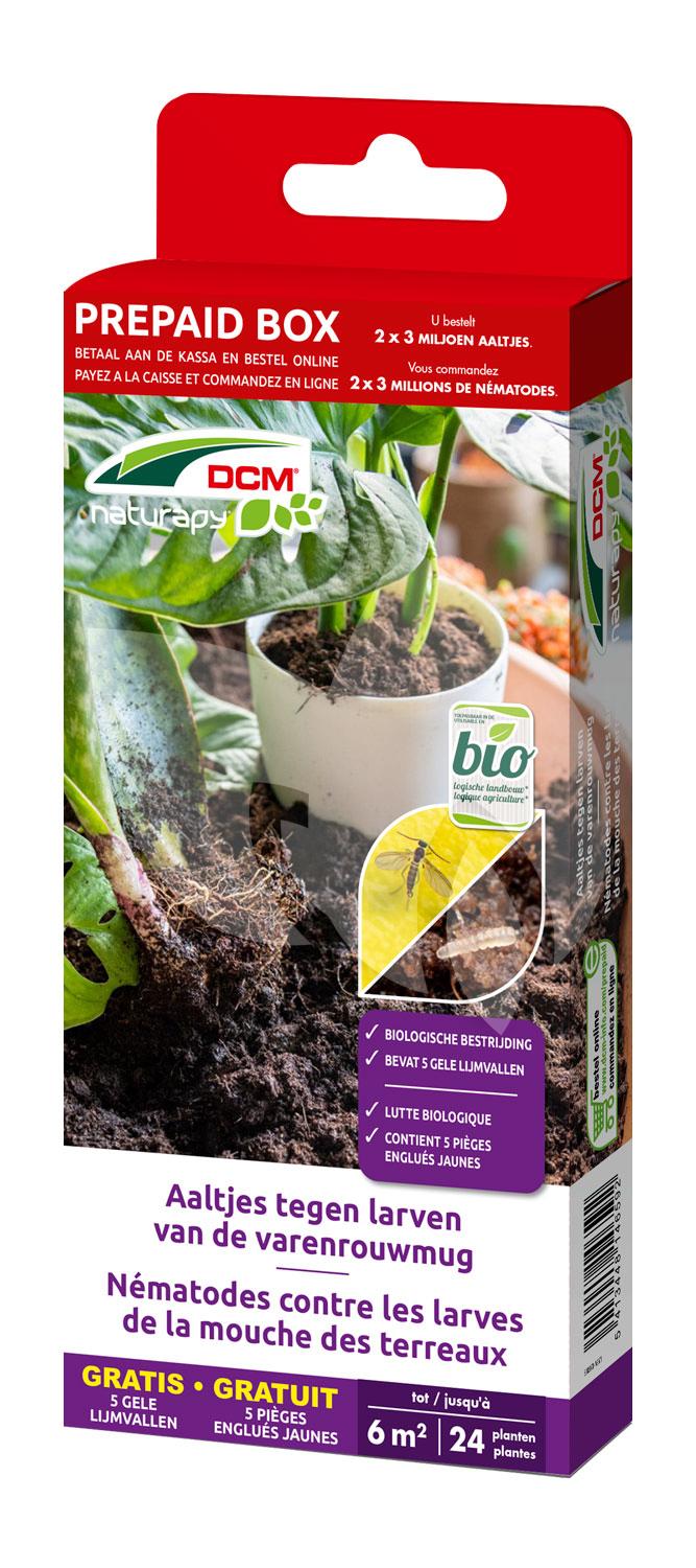 DCM Aaltjes tegen larven van de varenrouwmug (Felti-GuardÂ® - Varenrouwmug) - Bestelcode