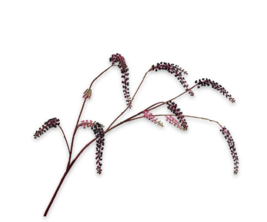 BESSENTAK PAARS 123 cm